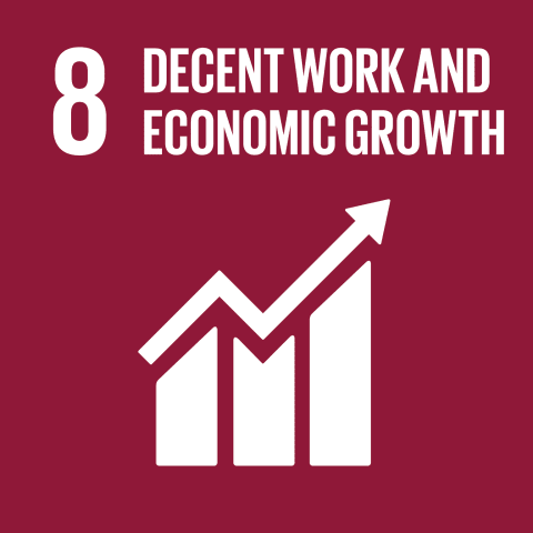 sustainable-development-goal-8